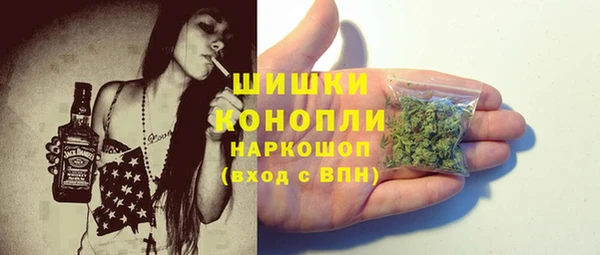 дмт Богородск