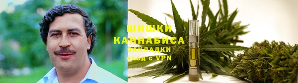 дмт Богородск