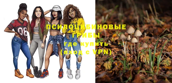 гашик Пересвет